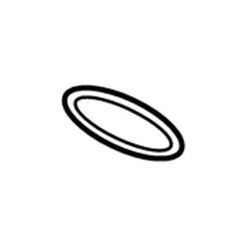 GM 55593191 Cap Seal