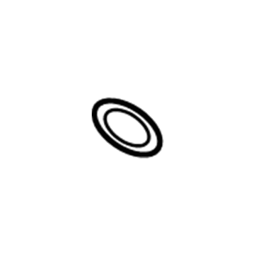 GM 55556224 Guide Tube Seal