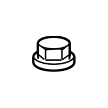 GM 88971284 Top Nut
