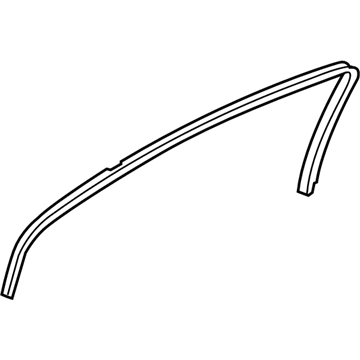 Chevy Door Seal - 20856459