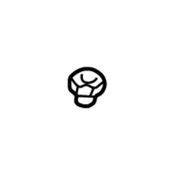 GM 11609567 Side Rail Nut