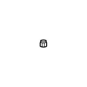 GM 25872391 Hose & Tube Assembly Cap