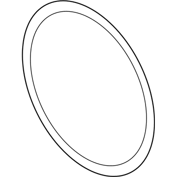 GM 94580509 Water Pump Seal