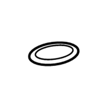 GM 10386686 Accumulator Seal