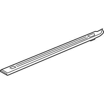 GM 52030175 Upper Molding, Passenger Side