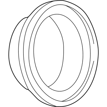 GM 15693529 Trim Ring