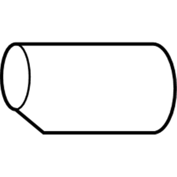 GM 94535587 Bulb & Socket