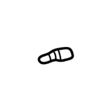 GM 10431663 Courtesy Lamp Retainer