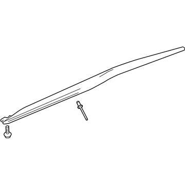 GM 84087268 Rocker Molding, Passenger Side