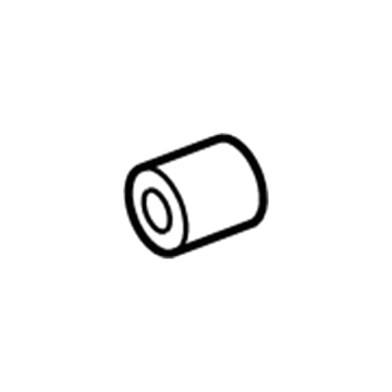 GM 19121910 Carrier Housing Bushing, Rear