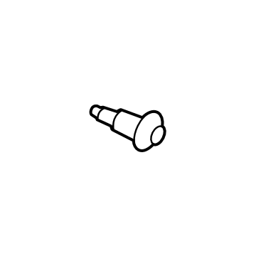 GM 55493610 Water Outlet Bolt