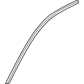2020 Cadillac CT6 Door Moldings - 84376596