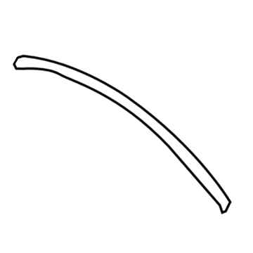 Chevy Traverse Weather Strip - 22754387