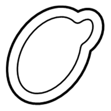 GM 55565619 Thermostat Gasket