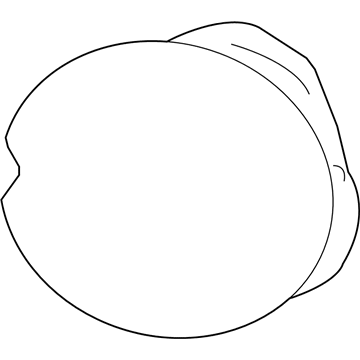 GM 15852222 Fog Lamp Assembly, Passenger Side