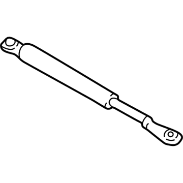 GM 30021389 Lift Cylinder