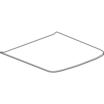 GM 23241249 Floor Cover, Black, Rear