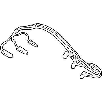 Pontiac Aztek Spark Plug Wires - 12192462