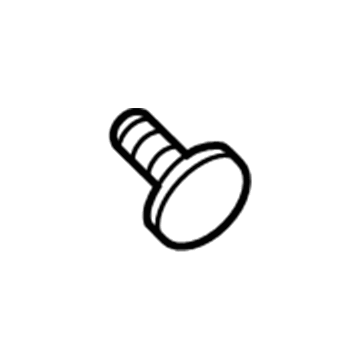 GM 95213115 License Molding Bolt