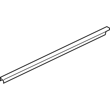 GM 20896221 Belt Weatherstrip, Front Outer Driver Side