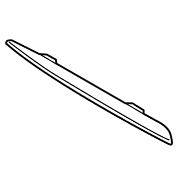 GM 22936484 Outer Molding, Driver Side