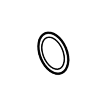 Chevy Catalytic Converter Gasket - 55187584