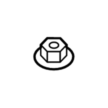 GM 19316156 Finish Molding Nut