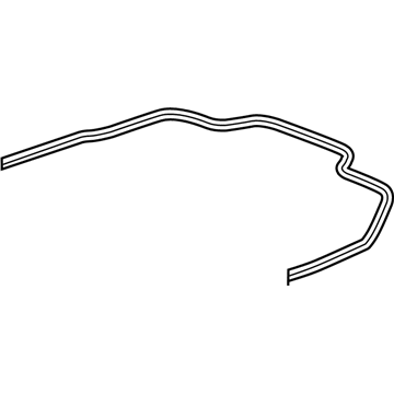 Pontiac 20834804 Body Weatherstrip