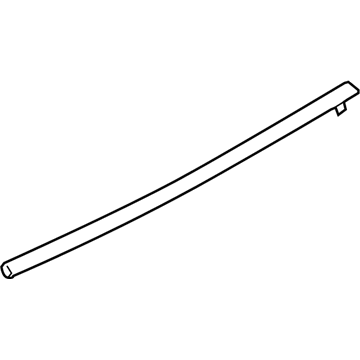GM 22834354 Belt Weatherstrip, Rear Outer Driver Side