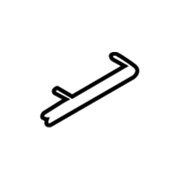 GM 96412076 Outer Molding