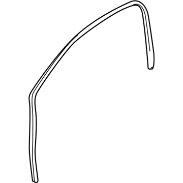 Chevy Spark Weather Strip - 95328897