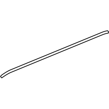 Chevy Traverse Weather Strip - 25790460