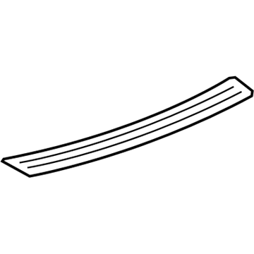 GM 15251113 Step Pad, Rear