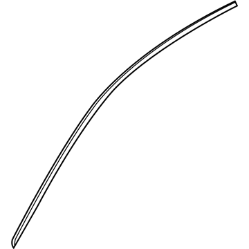 GM 84205397 Reveal Molding, Front Upper Driver Side