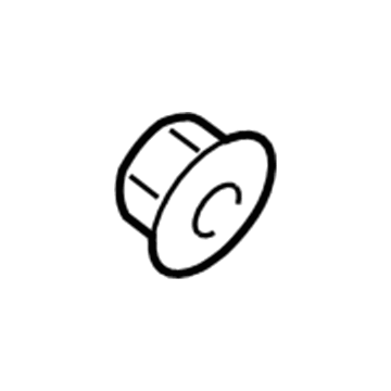 Chevy 19316157 Protector Nut
