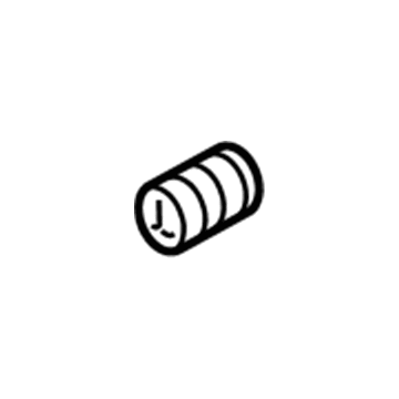 Chevy 19316293 Center Pipe Spring
