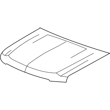 GM 15939876 Hood