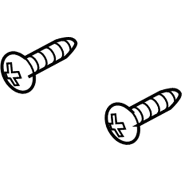 GM 11517073 Mirror Assembly Bolt, Bottom Top