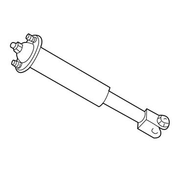 Cadillac 25884699 Shock