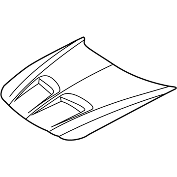 GM 12498263 Hood