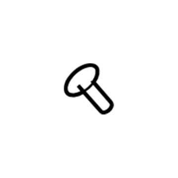 GM 11609374 Lower Quarter Trim Screw