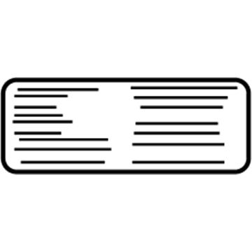 GM 10389134 Info Label