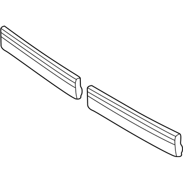 Chevy Astro Door Moldings - 15733483