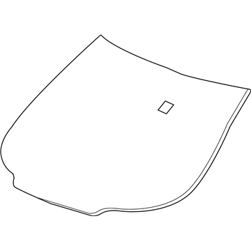 GM 25827815 Glass