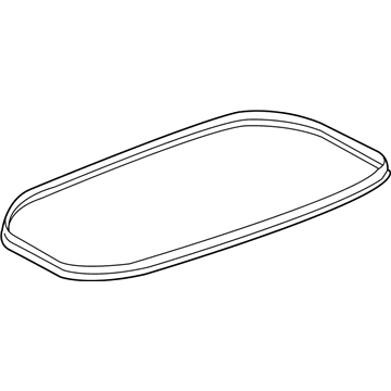 GM 84006188 Weatherstrip, Rear