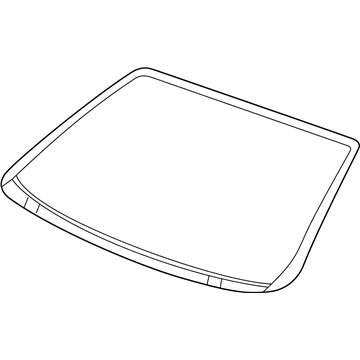 GM 22676100 Windshield