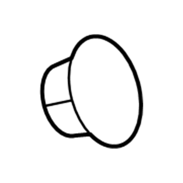 GM 94856668 Water Pump Nut