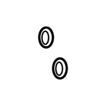 GM 52493057 Heater Core O-Ring