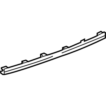 GM 23477993 Center Molding, Black