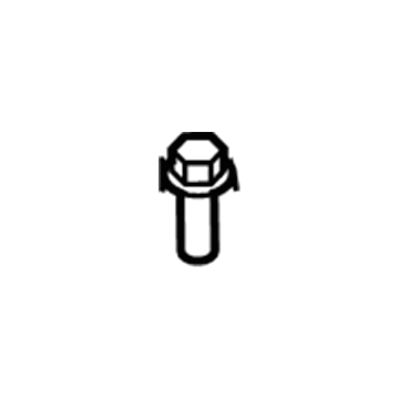 GM 11610199 Carrier Bolt, Black